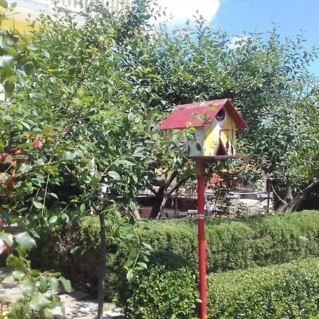 Lopar, Primorje-gorski Kotar 6 * Lopar